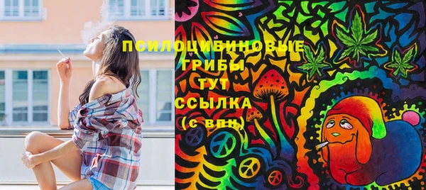 стафф Бронницы