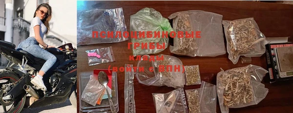 сатива Верхнеуральск